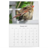 Vogelkalender für Hinterhofplätze Kalender (Jan 2027)