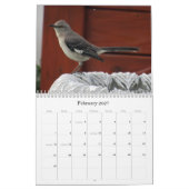 Vogelkalender für Hinterhofplätze Kalender (Feb 2027)