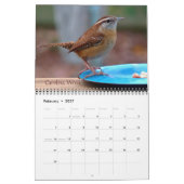 Vogelkalender im Hinterhof Kalender (Feb 2027)