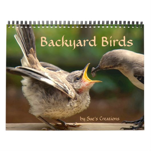 Vogelkalender im Hinterhof Kalender (Titelbild)