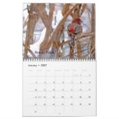 Vogelkalender im Hinterhof Kalender (Jan 2027)