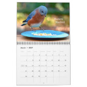 Vogelkalender im Hinterhof Kalender (Mär 2027)