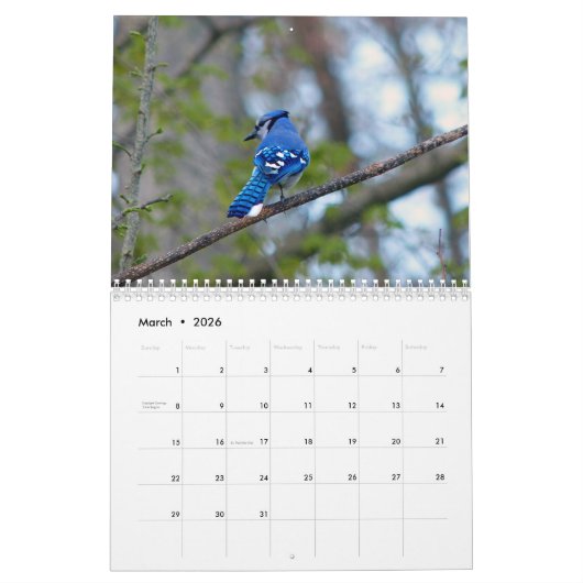 Vogelkalender Kalender (Mär 2026)