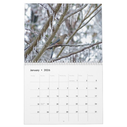 Vogelkalender Kalender (Jan 2026)