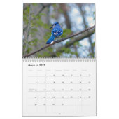 Vogelkalender Kalender (Mär 2027)