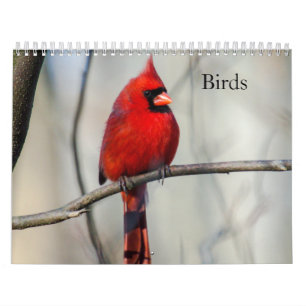 Vogelkalender Kalender