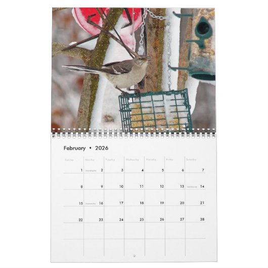 Vogelkalender Kalender (Feb 2026)