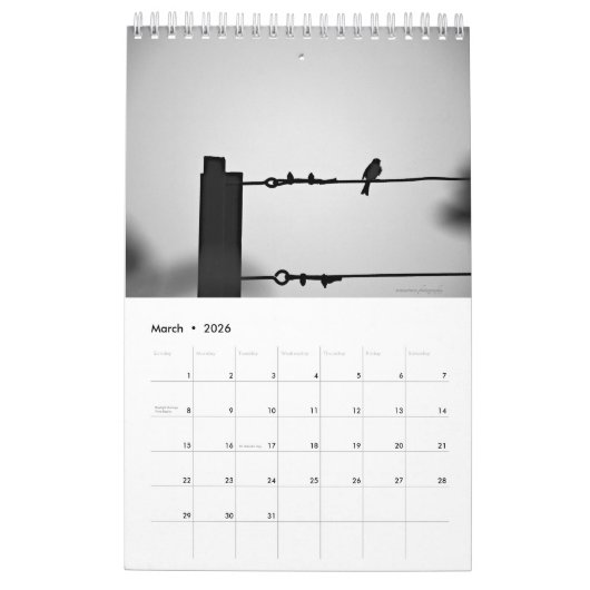 Vogelkalender Kalender (Mär 2026)