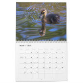 Vogelkalender Kalender (Mär 2026)