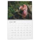 Vogelkalender Kalender (Jan 2027)