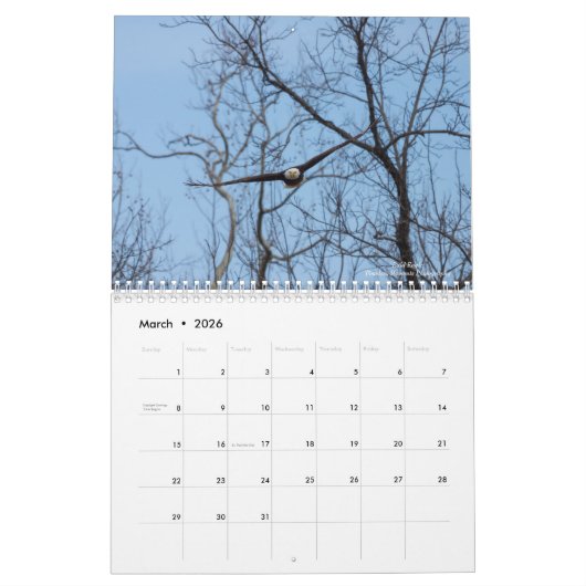 Vogelkalender Kalender (Mär 2026)