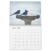 Vogelkalender Kalender (Jan 2027)