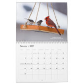 Vogelkalender Kalender (Feb 2027)