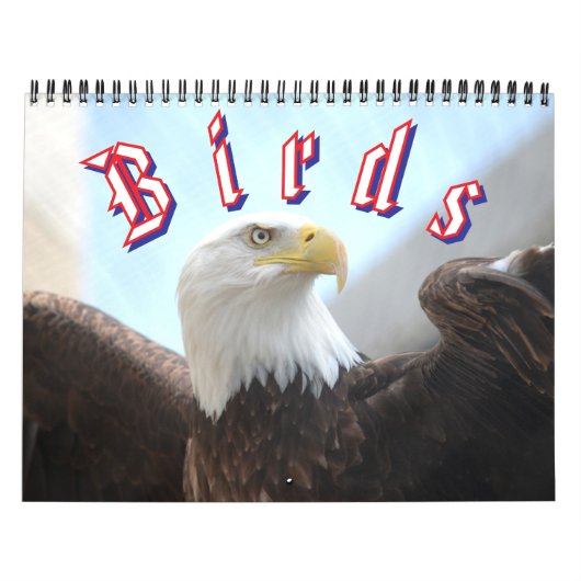 Vogelkalender Kalender (Titelbild)