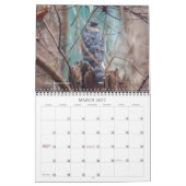 Vogelkalender Kalender (Mär 2027)