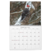 Vogelkalender Kalender (Feb 2027)