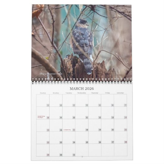 Vogelkalender Kalender (Mär 2026)