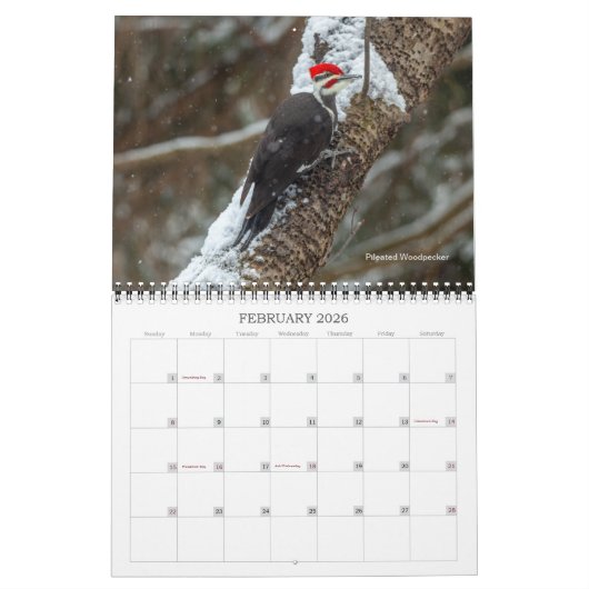 Vogelkalender Kalender (Feb 2026)