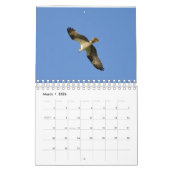 Vogelkalender Kalender (Mär 2026)