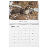 Vogelkalender und Entenkalender Kalender (Feb 2027)