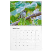Vogelkalender Wählen Sie Ihren Startmonat / Ihr St Kalender (Mär 2027)