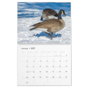 Vogelkalender Wählen Sie Ihren Startmonat / Ihr St Kalender (Jan 2027)