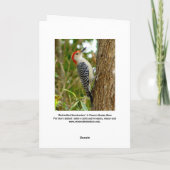 Vogelkarte Karte (Rückseite)