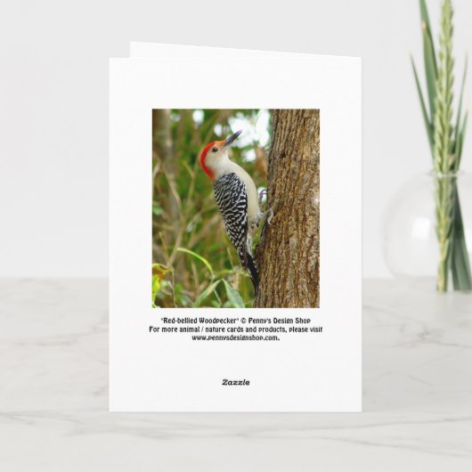 Vogelkarte Karte (Rückseite)