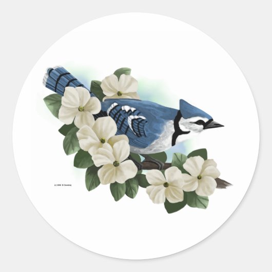 Vogelkleber Runder Aufkleber (Vorderseite)