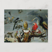 Vogelkonzert Postkarte (Vorderseite)