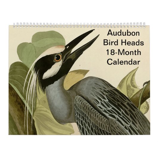 Vogelköpfe Audubon 18 Monate Kalender (Titelbild)