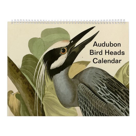 Vogelköpfe Kalender (Titelbild)