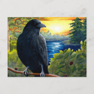 Vogelkrähe 63 postkarte