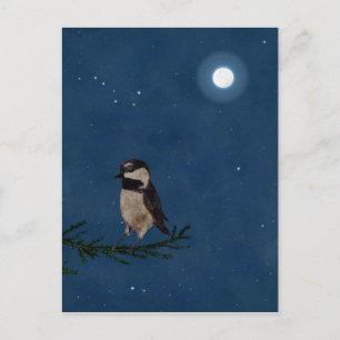 Vogelkunst an der Nacht mit dem Mond, Groß Dipper, Postkarte