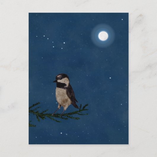 Vogelkunst an der Nacht mit dem Mond, Groß Dipper, Postkarte (Vorderseite)