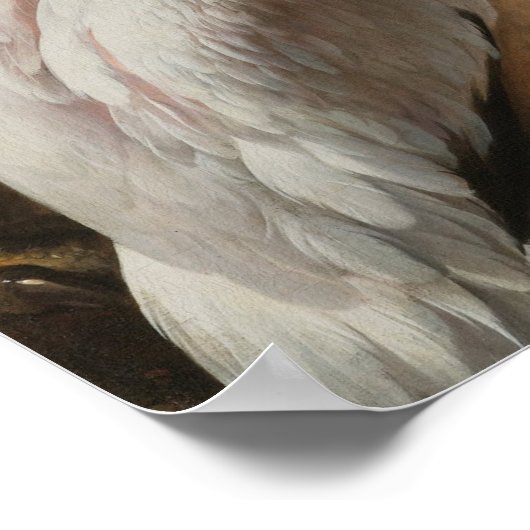 Vogelkunst Poster (Ecke)