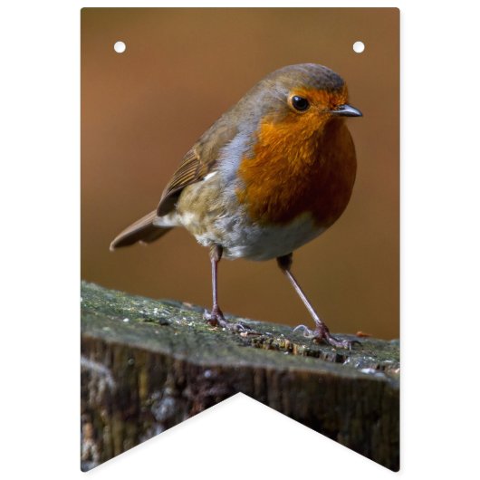 Vogelliebhaber Jagd Wimpelkette (Dritte Fahne)