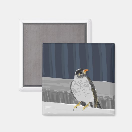 Vogelmagnet auf der Schiene Magnet (Vorderseite/Rückseite)