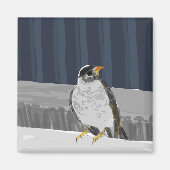 Vogelmagnet auf der Schiene Magnet (Vorne)