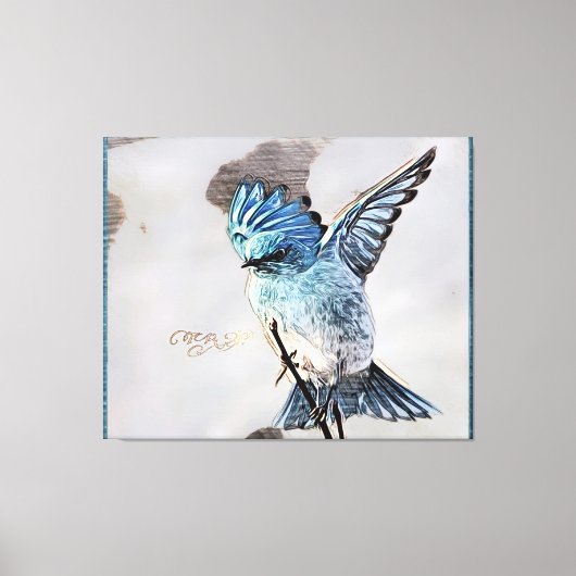 Vogelmodelle: Mountain Bluebird 01-02 Leinwanddruck (Vorderseite)