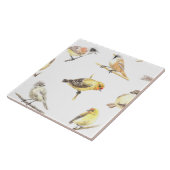 Vogelmuster Fliese (Seite)