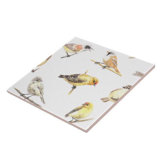 Vogelmuster Fliese (Seite)