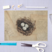 Vogelnest Alte Vintage Antike Retro Braun Eier Seidenpapier (Handwerk)