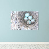 Vogelnest-Blaueier-Naturfotografie-Leinwand Leinwanddruck (Insitu (Holzboden))