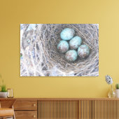 Vogelnest-Blaueier-Naturfotografie-Leinwand Leinwanddruck (Insitu (Wohnzimmer))