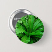 Vogelnest Fern Button (Vorne & Hinten)