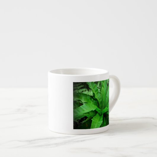 Vogelnest Fern Espressotasse (Vorderseite Rechts)