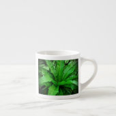 Vogelnest Fern Espressotasse (Rechts)