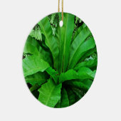 Vogelnest Fern Keramikornament (Rechts)