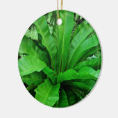 Vogelnest Fern Keramikornament (Links)
